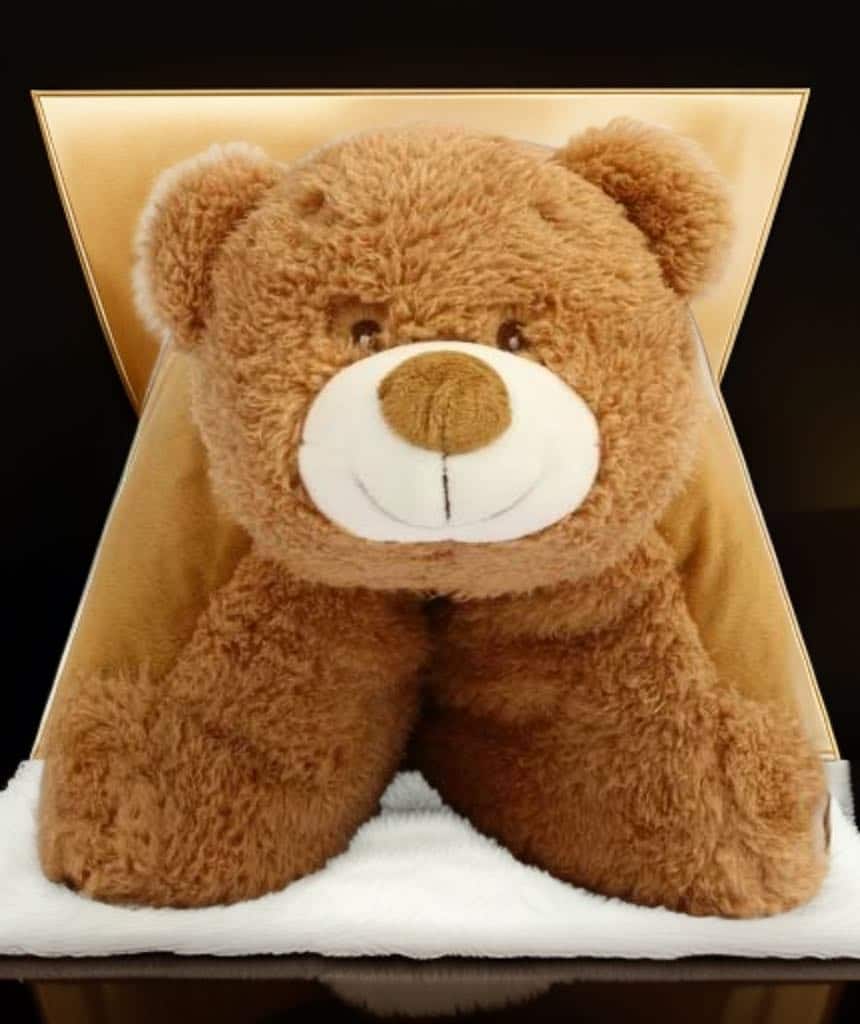 Hímzett Plüss Maci párna - Image 2